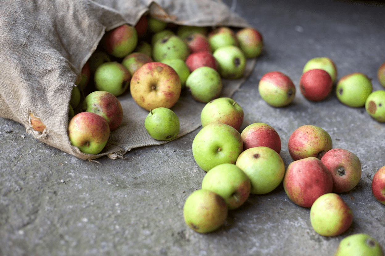 Food Waste Log Tracks and optimizes kitchen waste management.