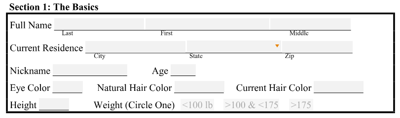 girlfriend-application-section-1